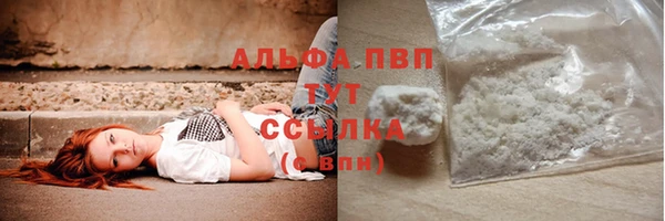 spice Няндома
