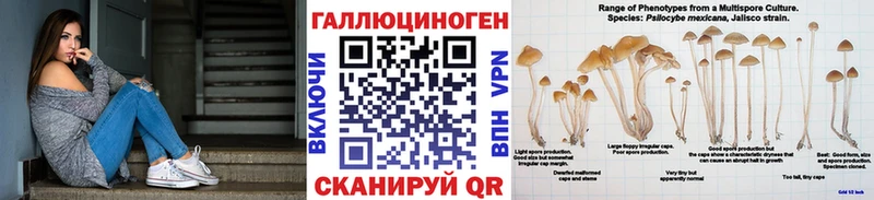 Галлюциногенные грибы мицелий  Кинель 